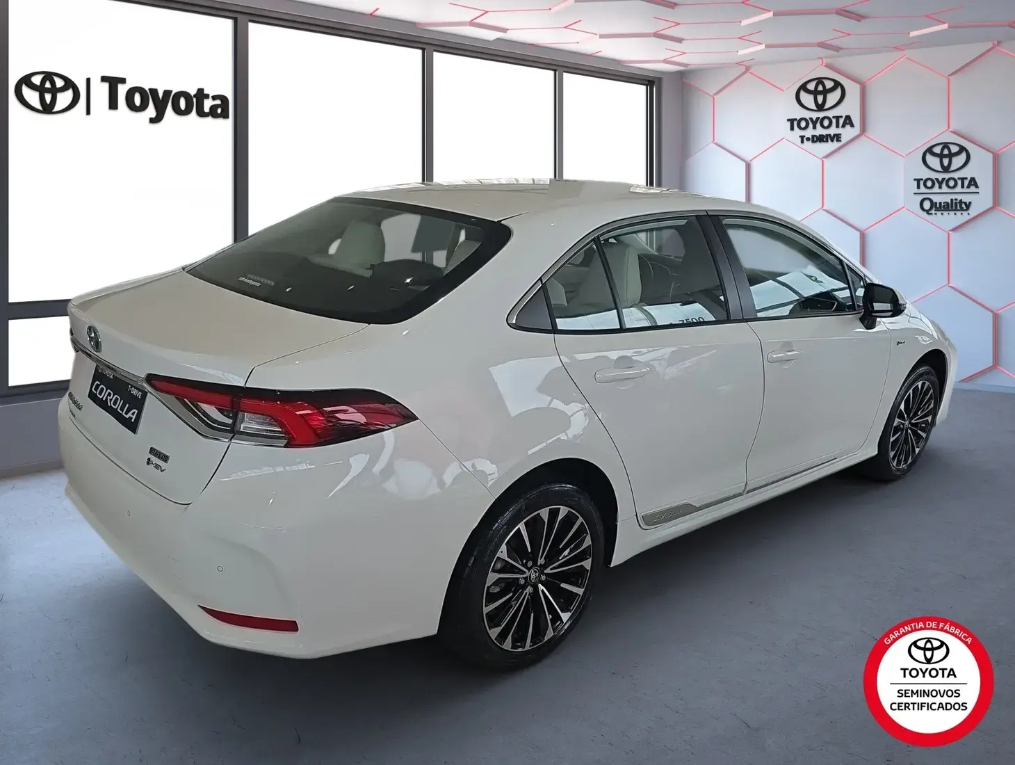 galeria Corolla