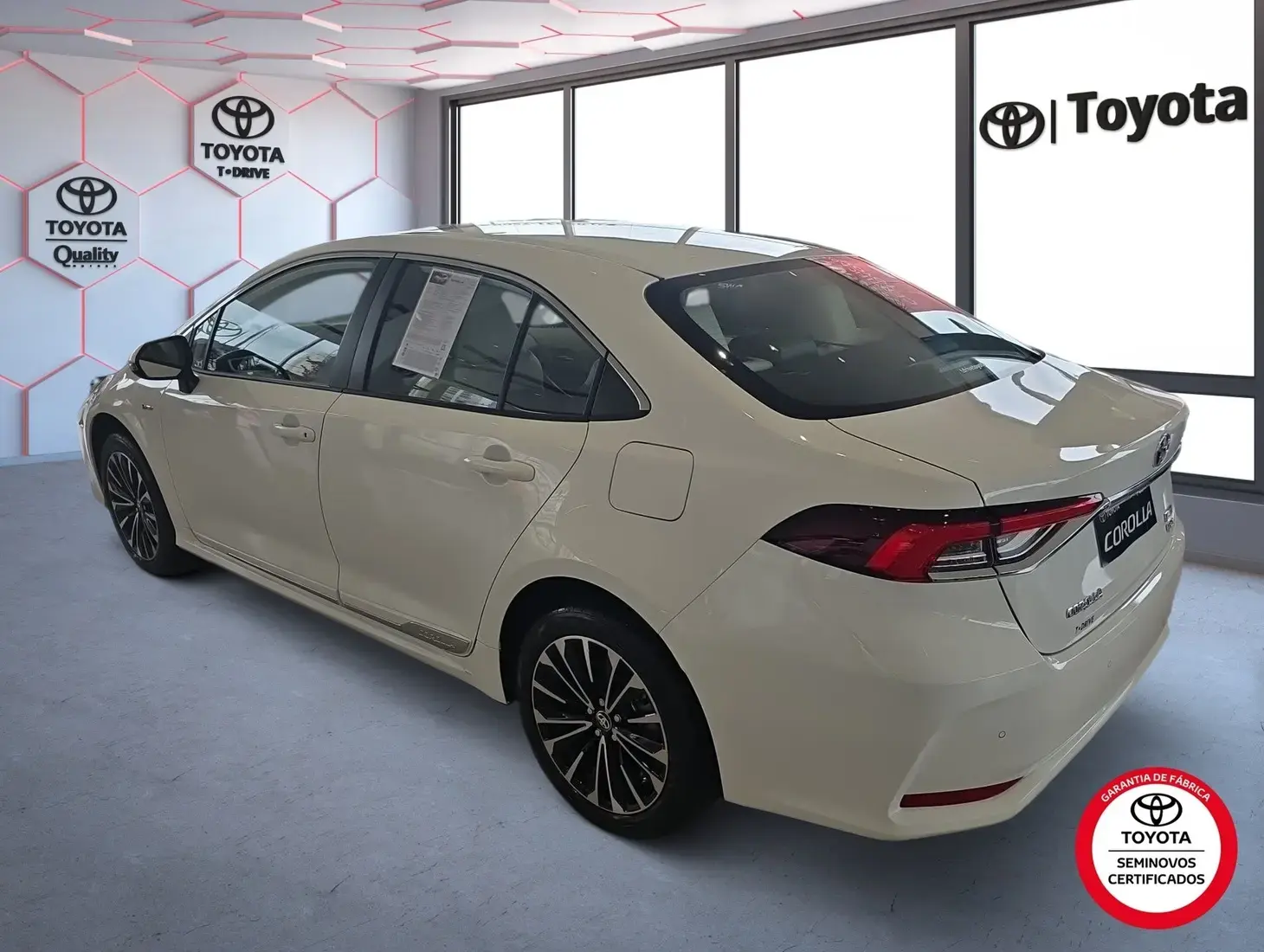 galeria Corolla