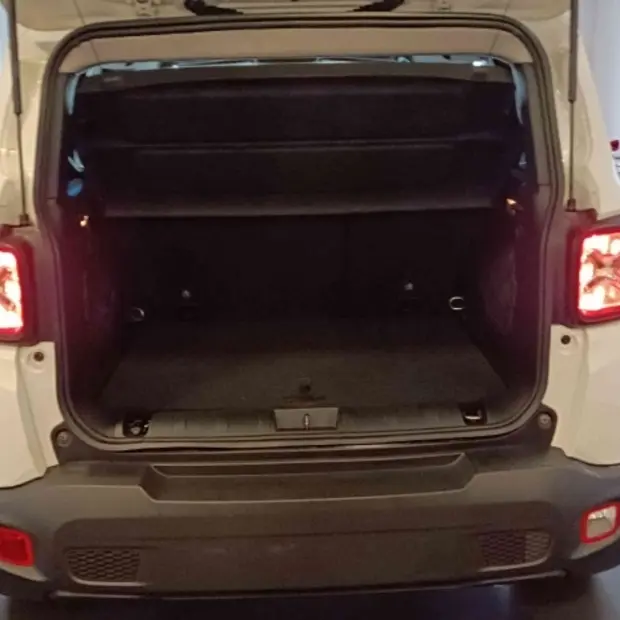 Jeep RENEGADE 1.8 16V FLEX 4P AUTOMÁTICO