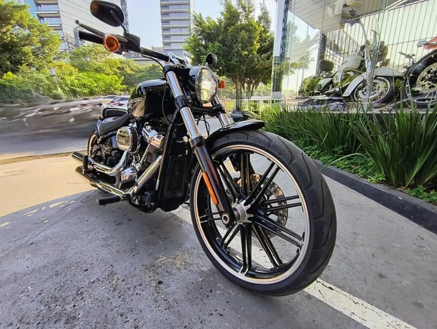 galeria Softail