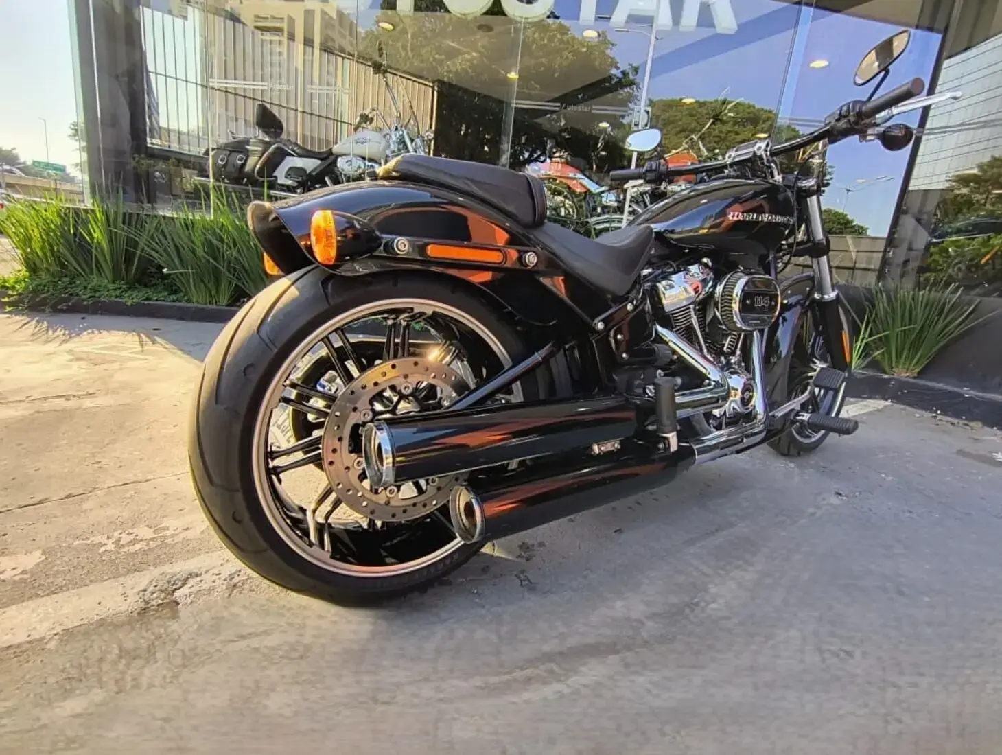 galeria Softail