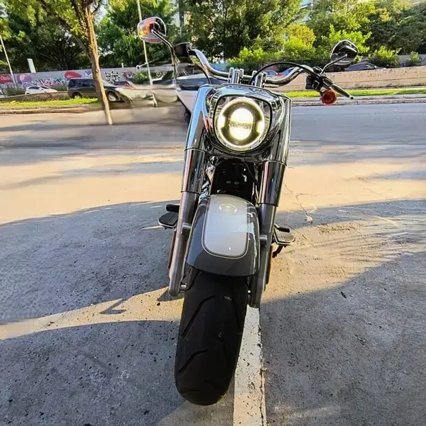 Harley Davidson Fat Boy FLFBS FAT BOY 114