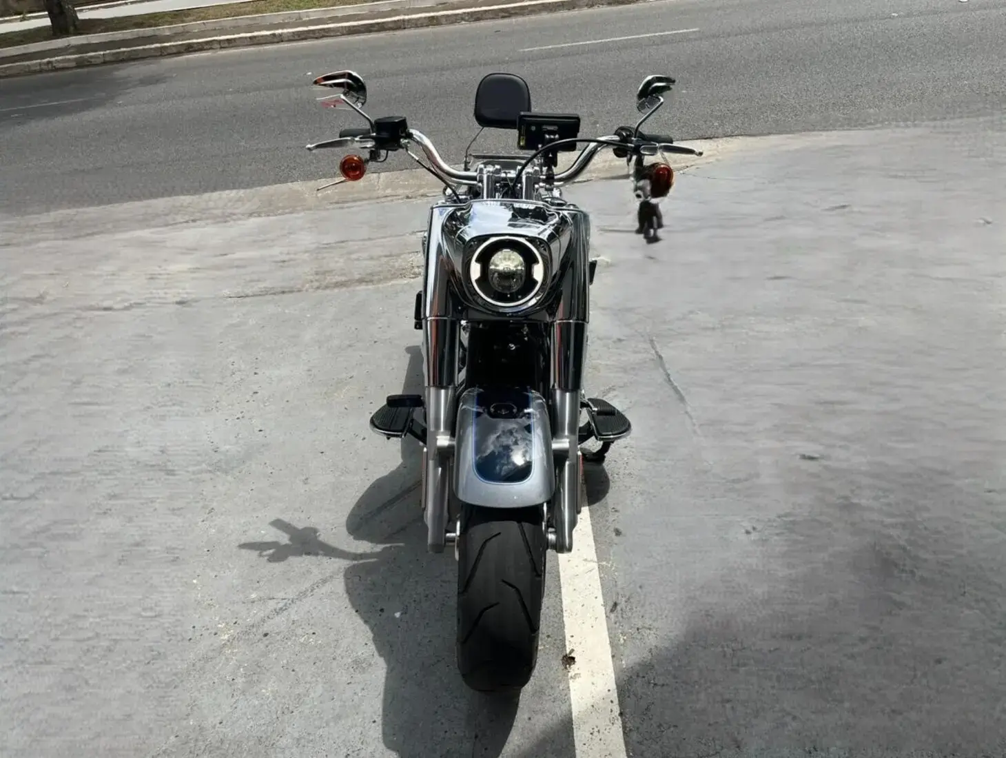 galeria Fat Boy FLFBS