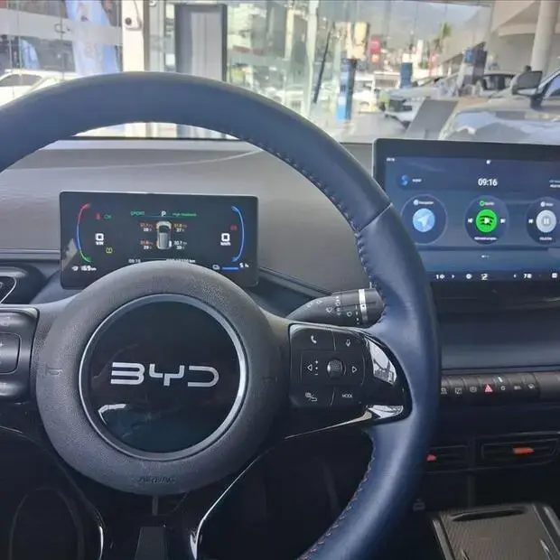 Byd DOLPHIN MINI 38 KW ELÉTRICO