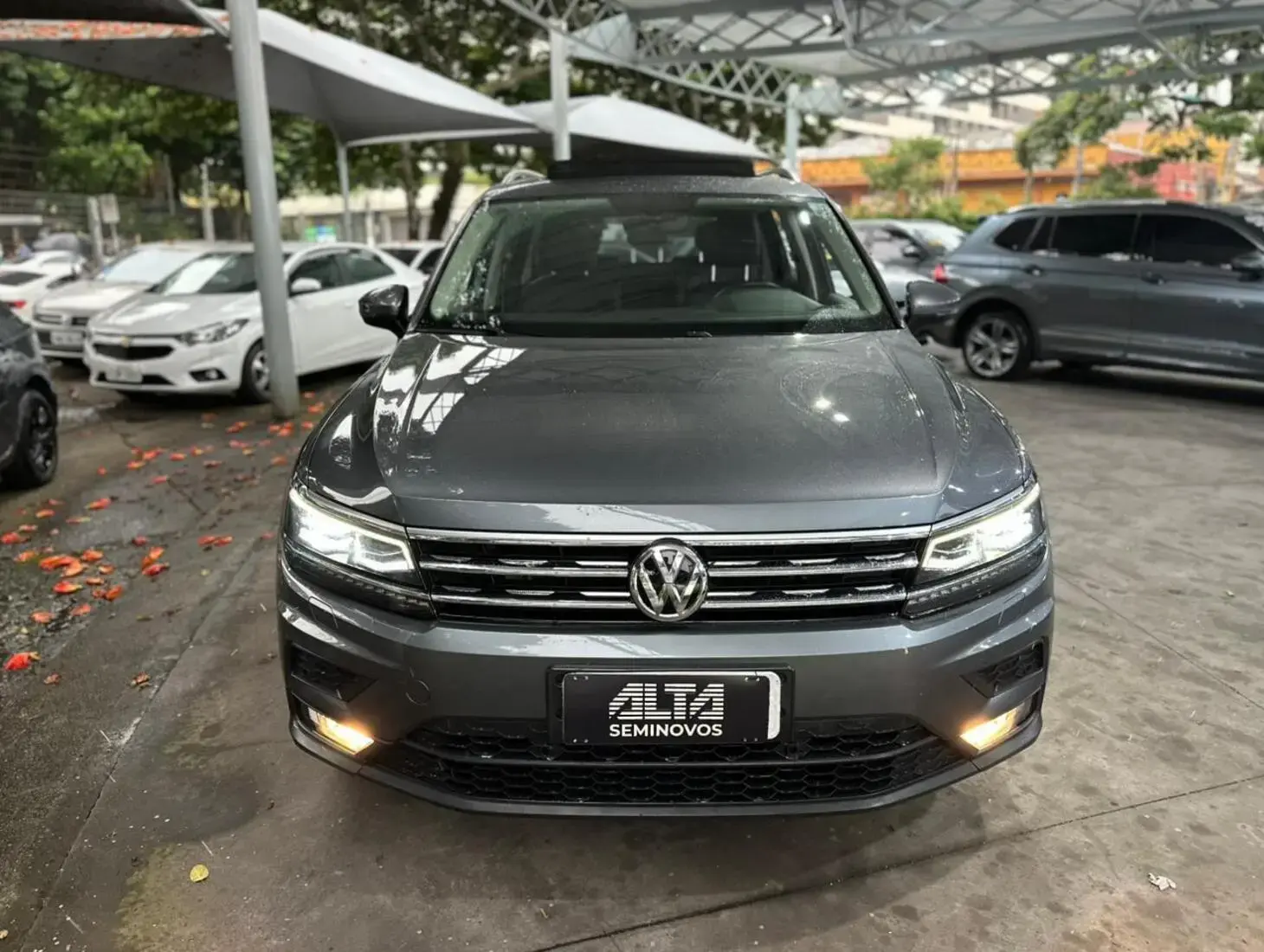 galeria Tiguan