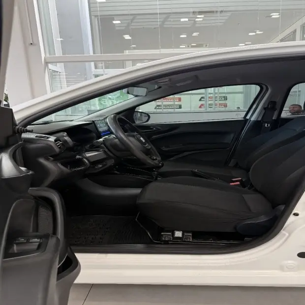 Fiat ARGO 1.0 FIREFLY FLEX MANUAL