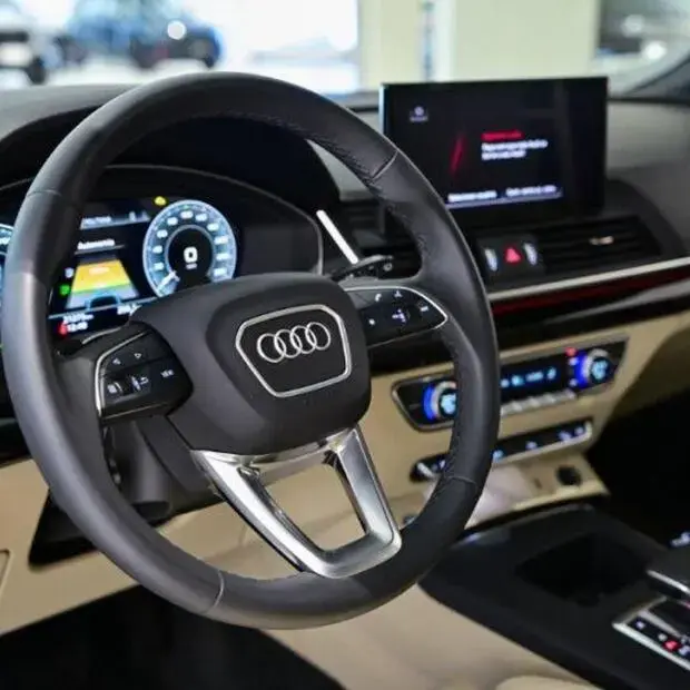 Audi Q5 Perf. Black 2.0 TFSIe S.Tr. Qt (Hib.)