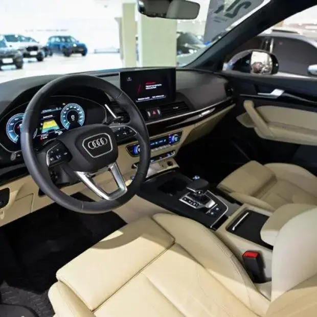 Audi Q5 Perf. Black 2.0 TFSIe S.Tr. Qt (Hib.)