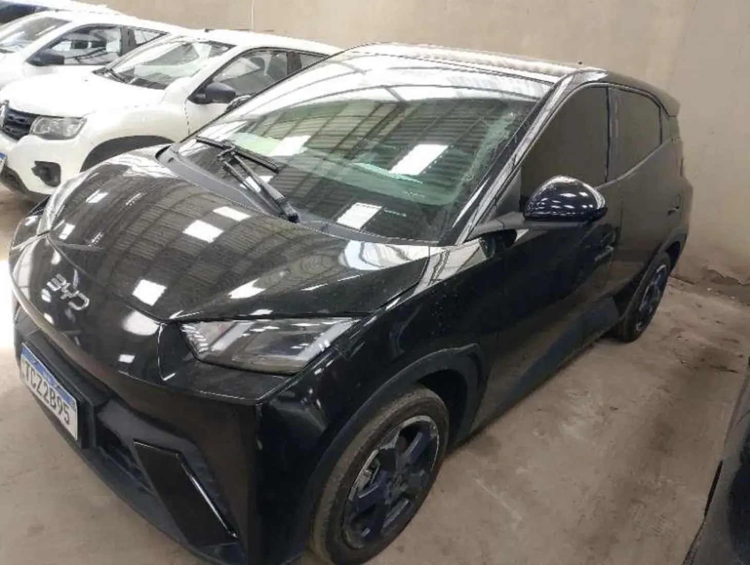 galeria DOLPHIN MINI