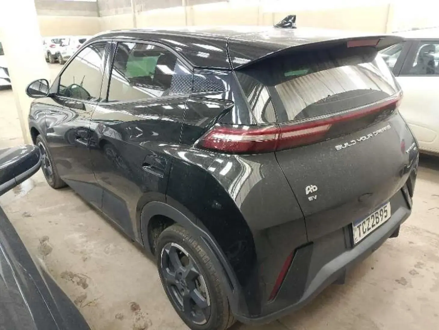 galeria DOLPHIN MINI