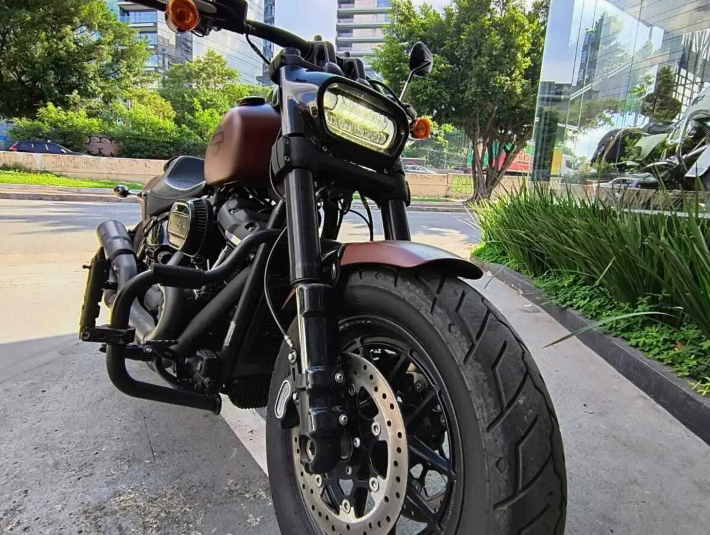 galeria FAT BOB FXFB