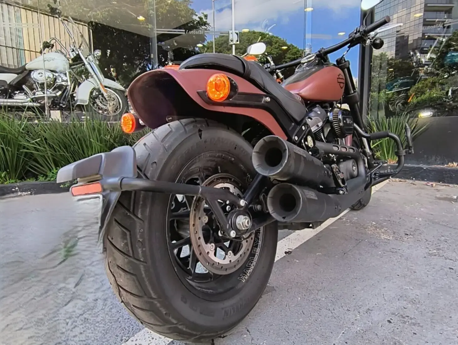 galeria FAT BOB FXFB