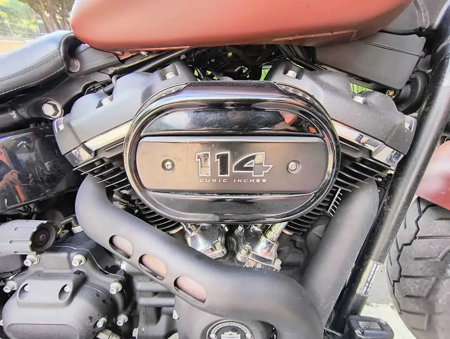 galeria FAT BOB FXFB