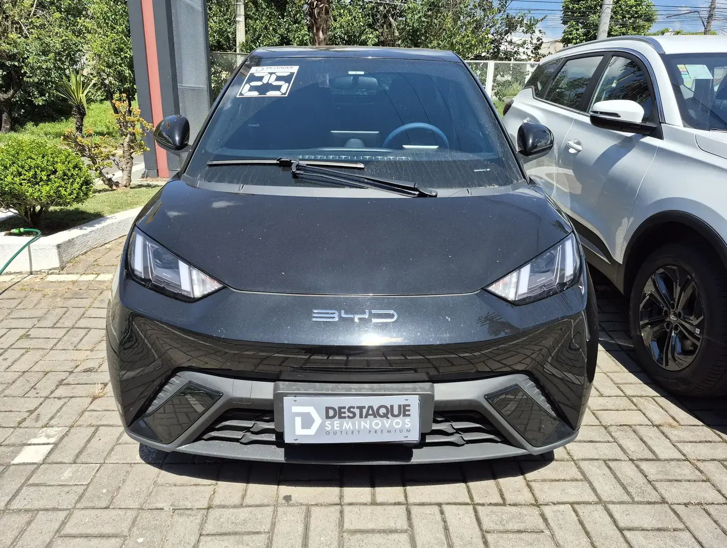 galeria DOLPHIN MINI