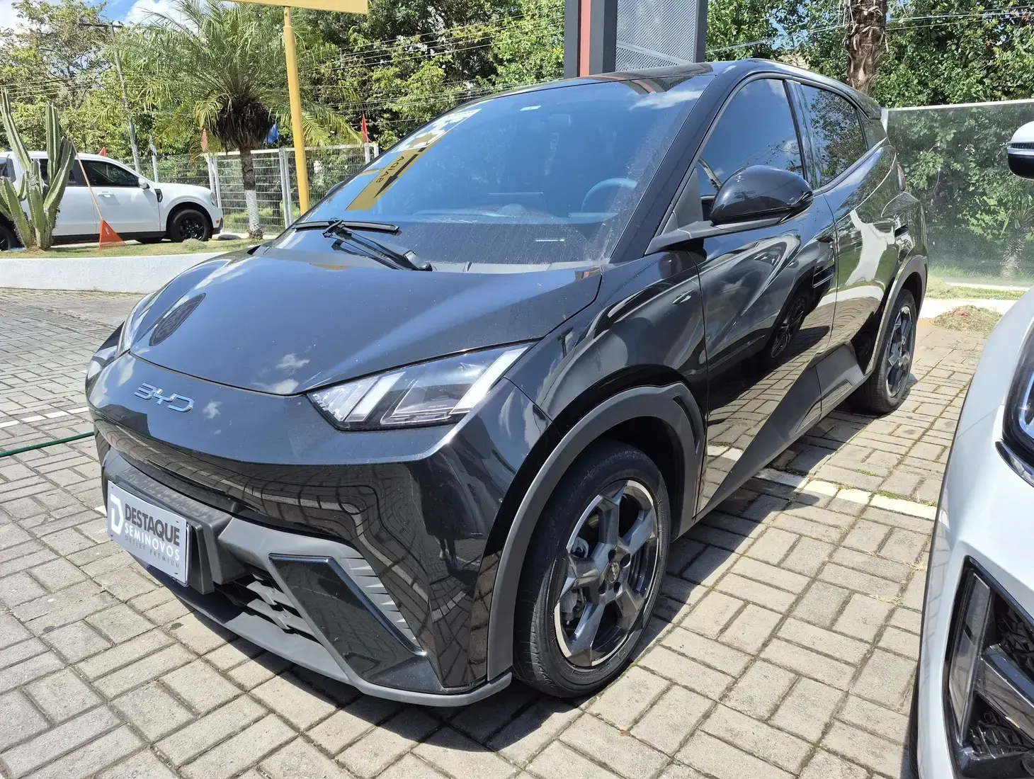 galeria DOLPHIN MINI