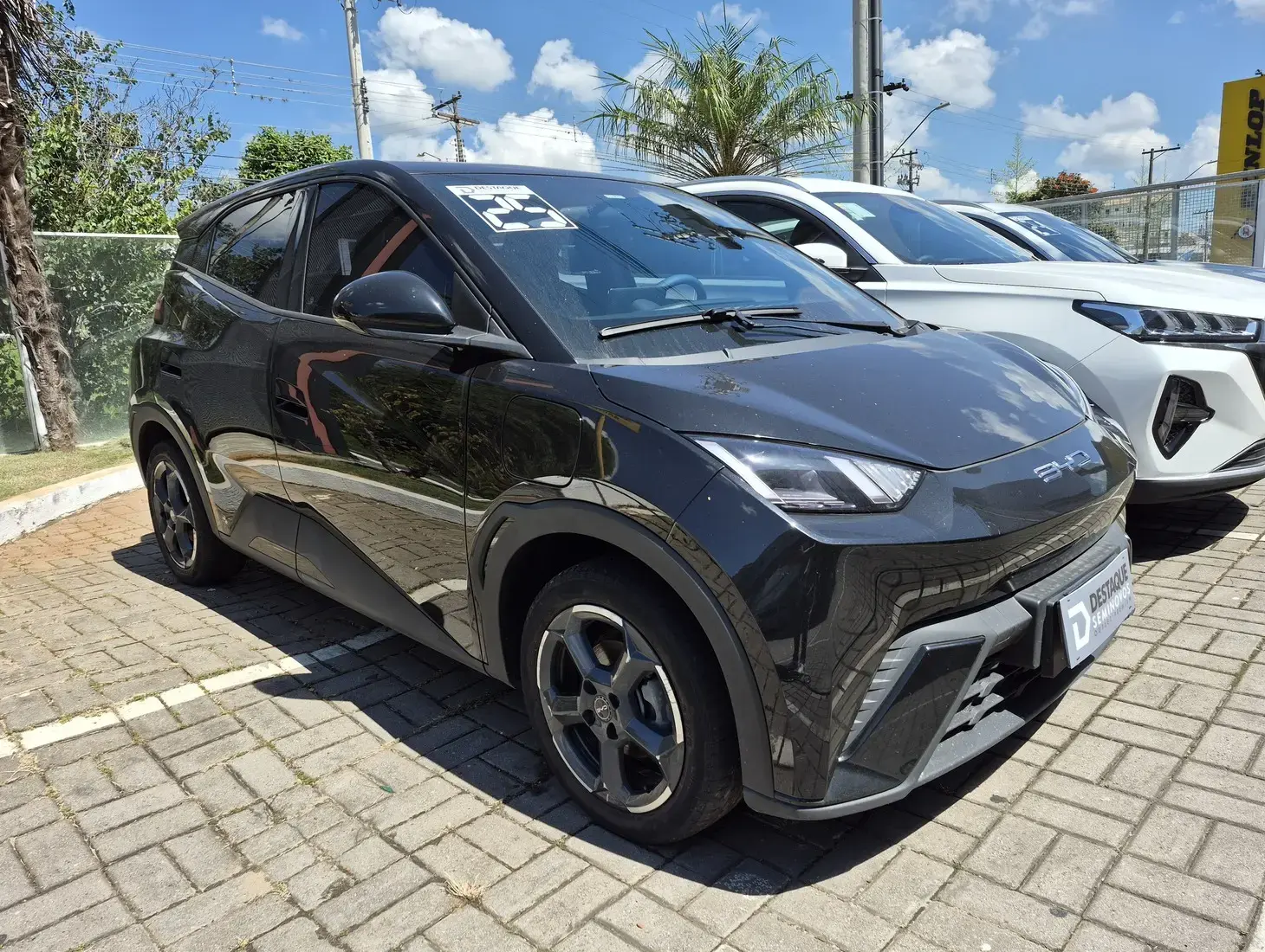 galeria DOLPHIN MINI