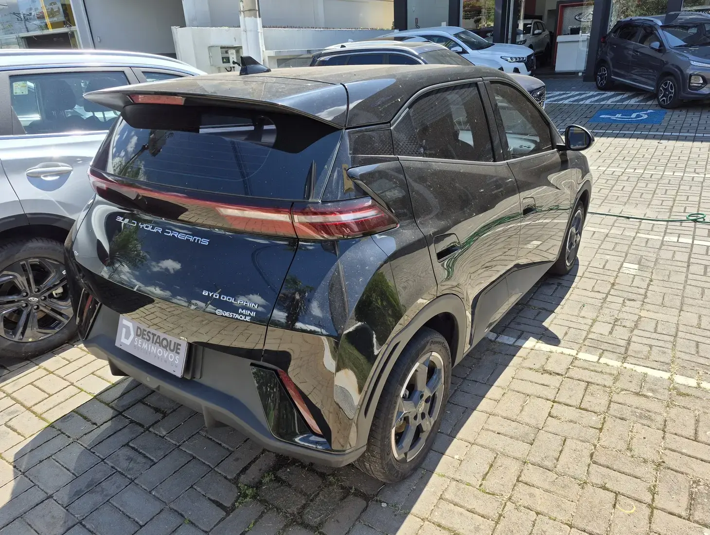 galeria DOLPHIN MINI