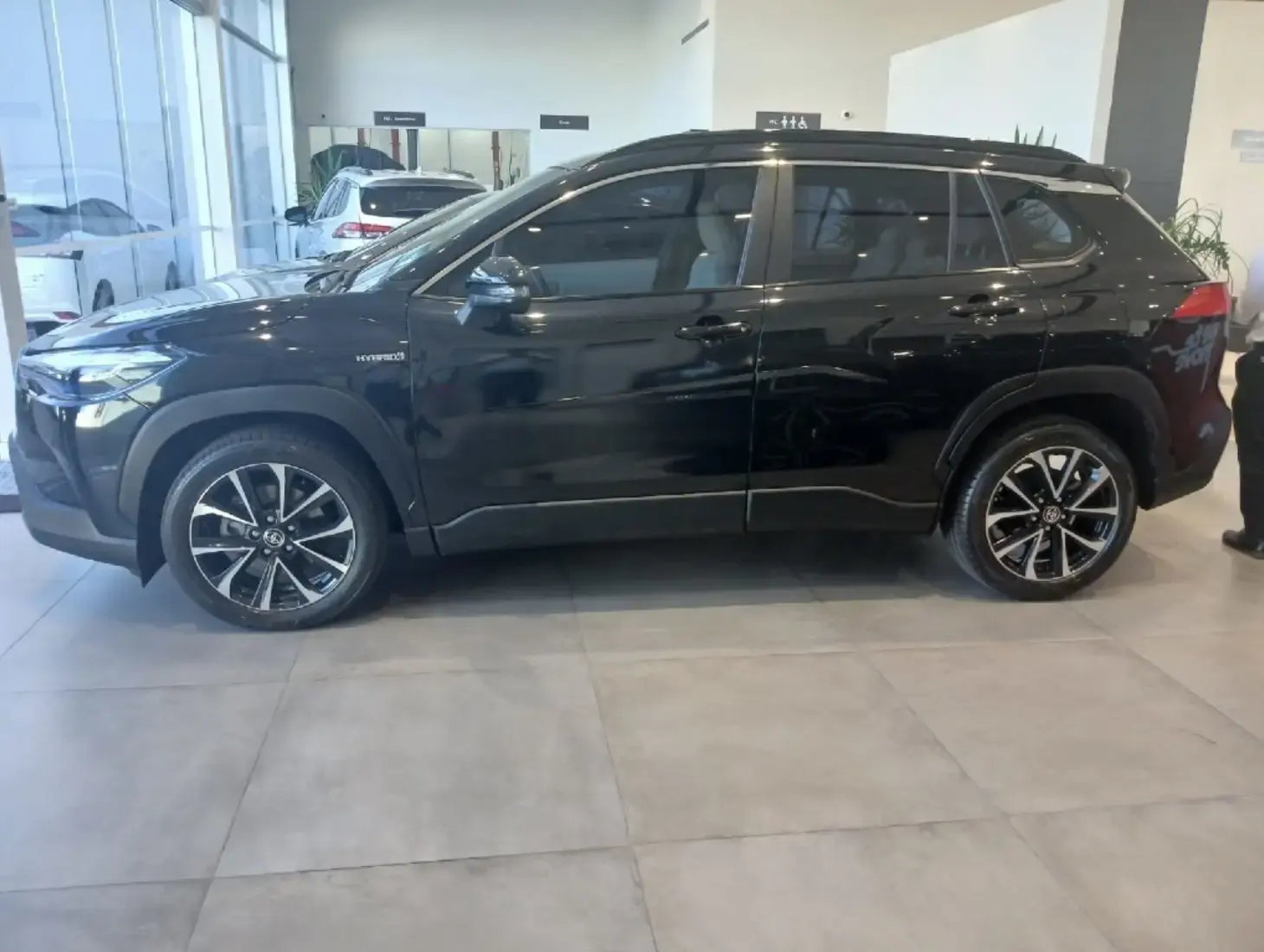 galeria Corolla Cross