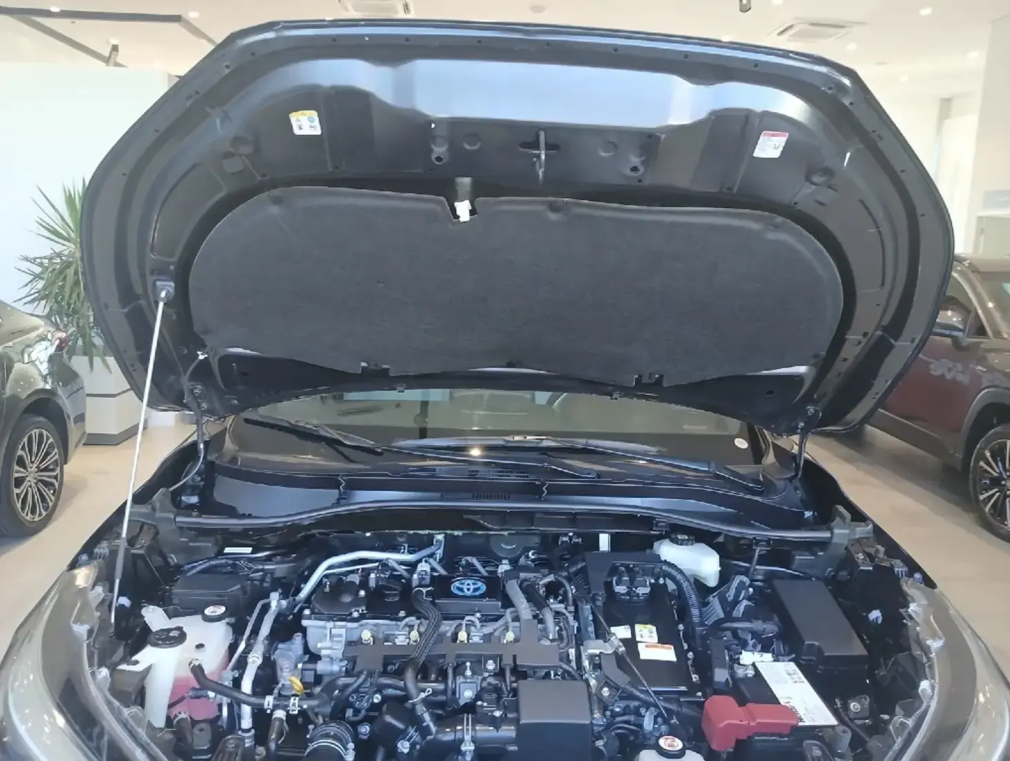 galeria Corolla Cross