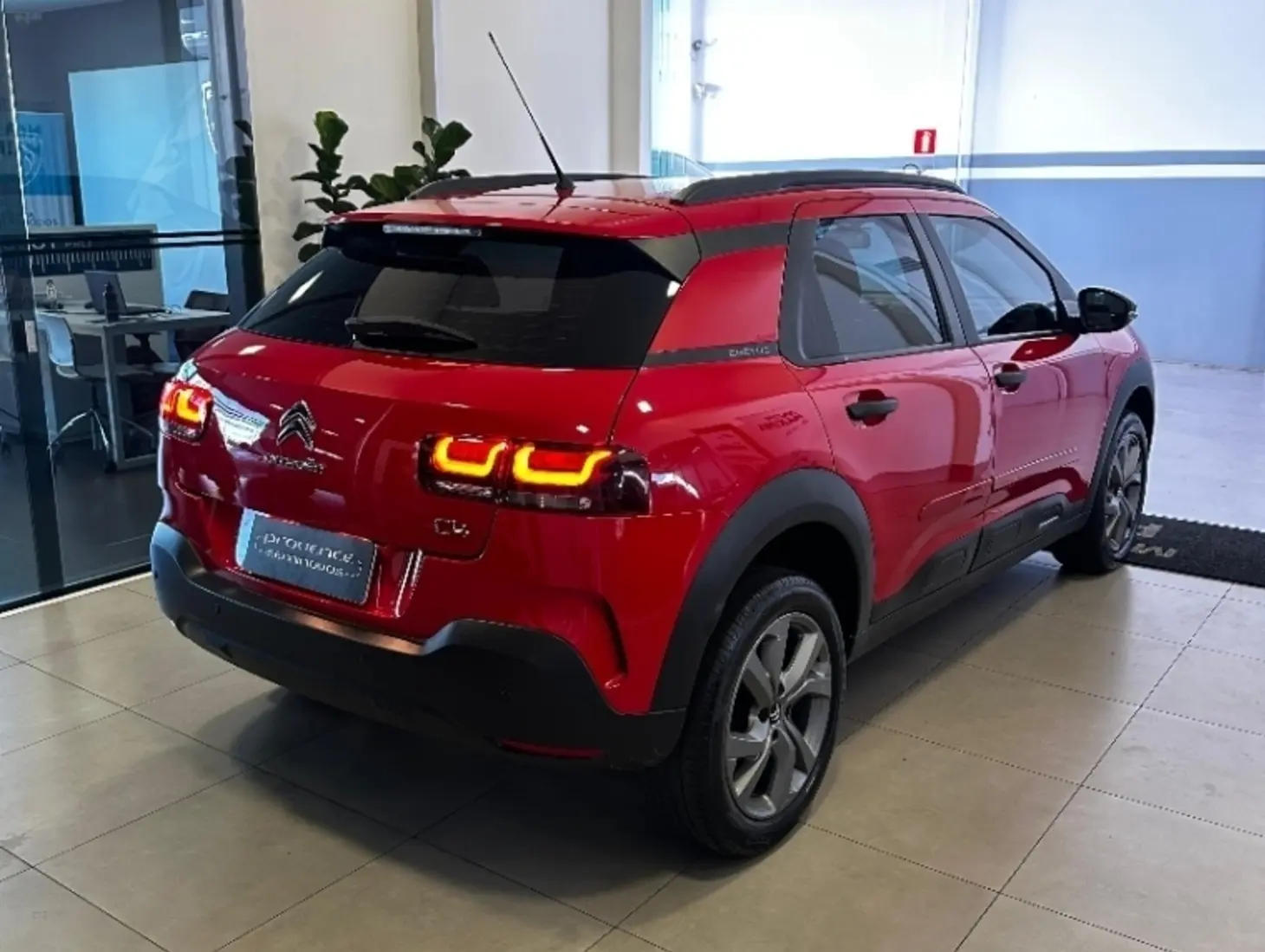 galeria C4 CACTUS
