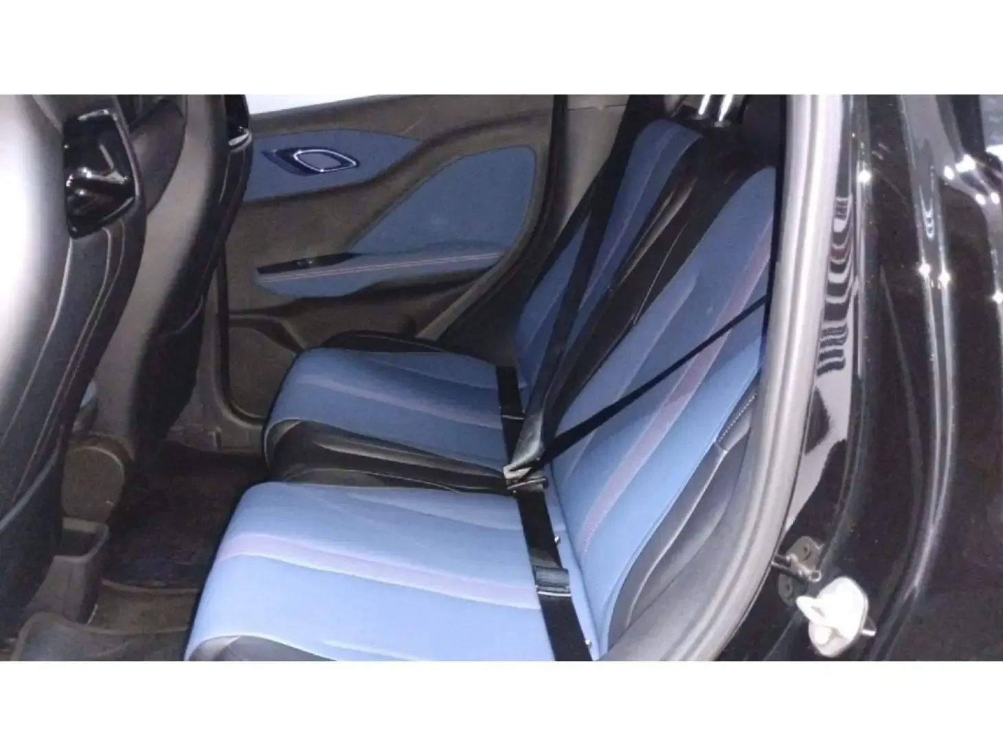 galeria DOLPHIN MINI