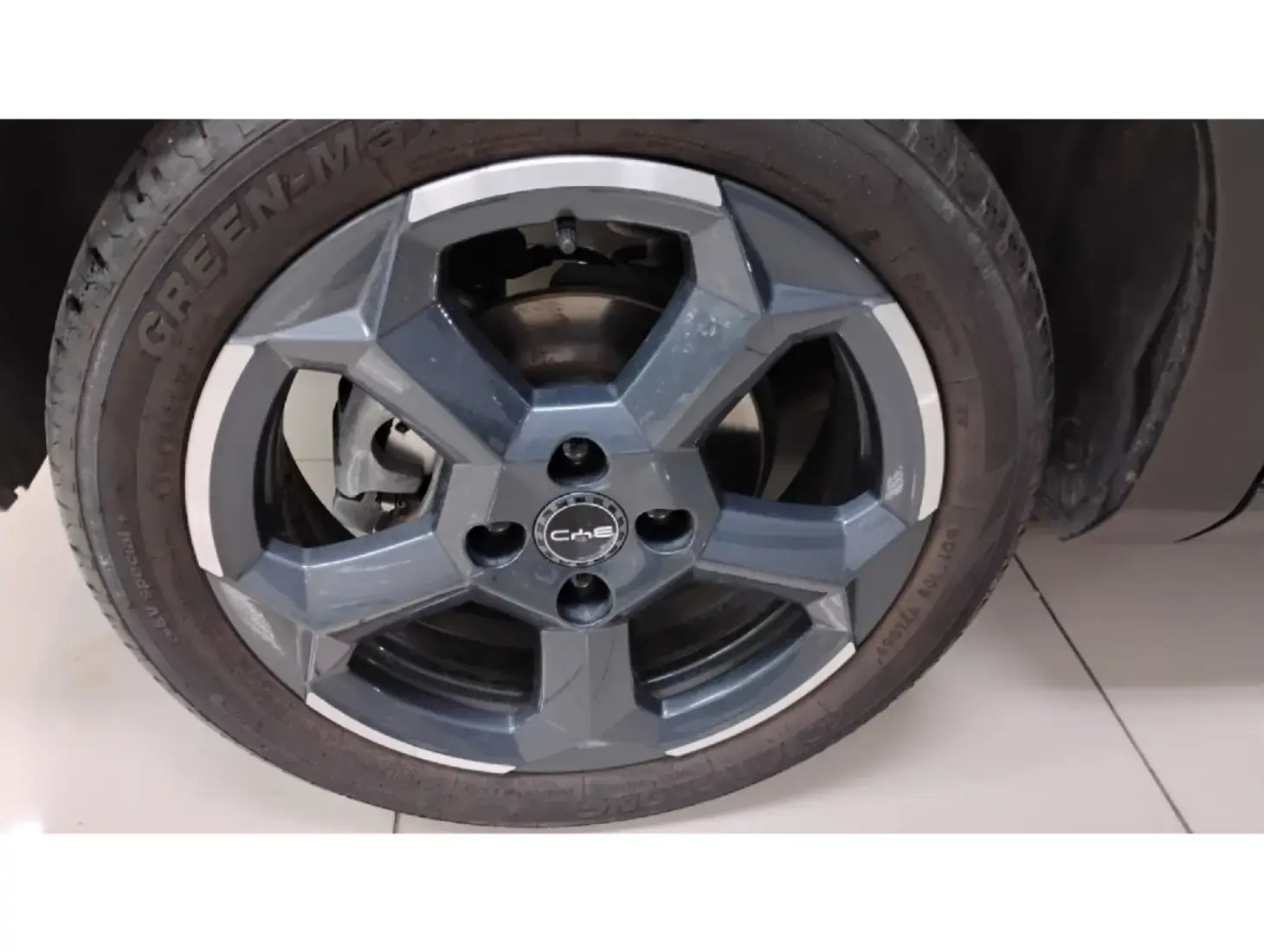 galeria DOLPHIN MINI