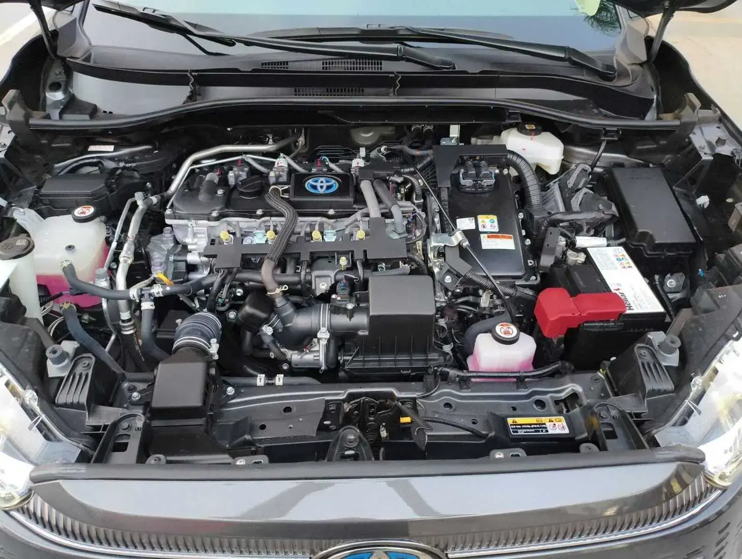 galeria Corolla Cross