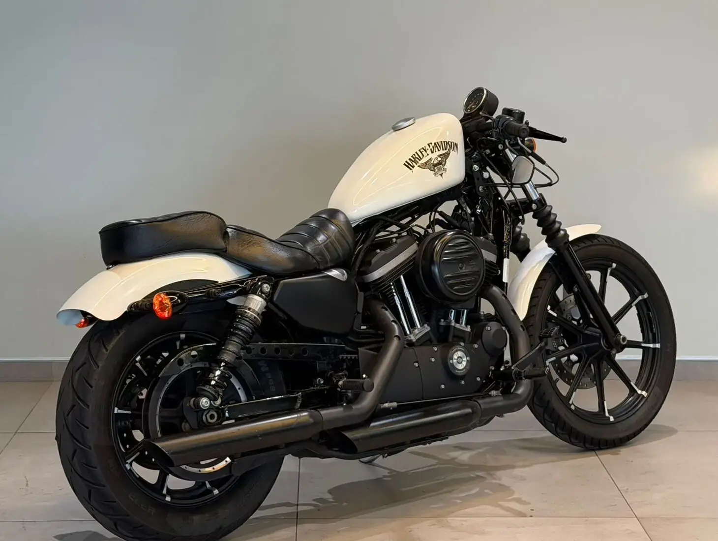 galeria Sportster XL 883