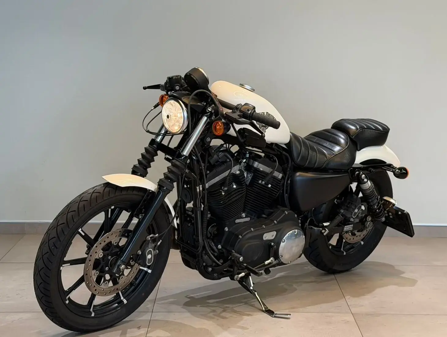 galeria Sportster XL 883