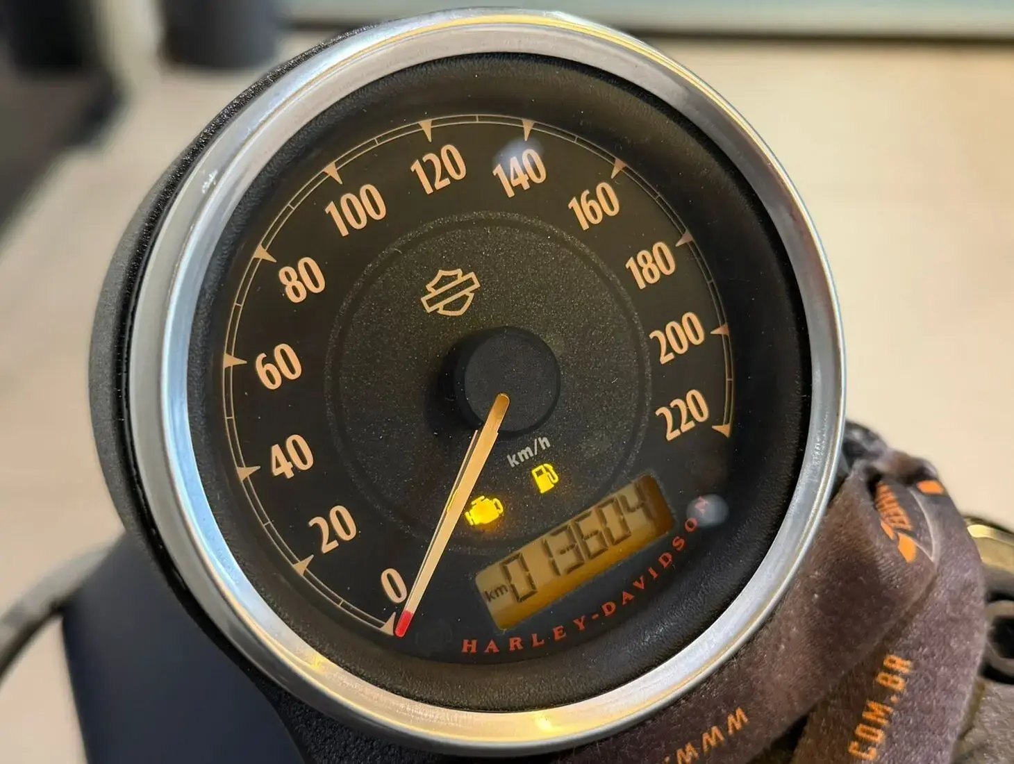 galeria Sportster XL 883