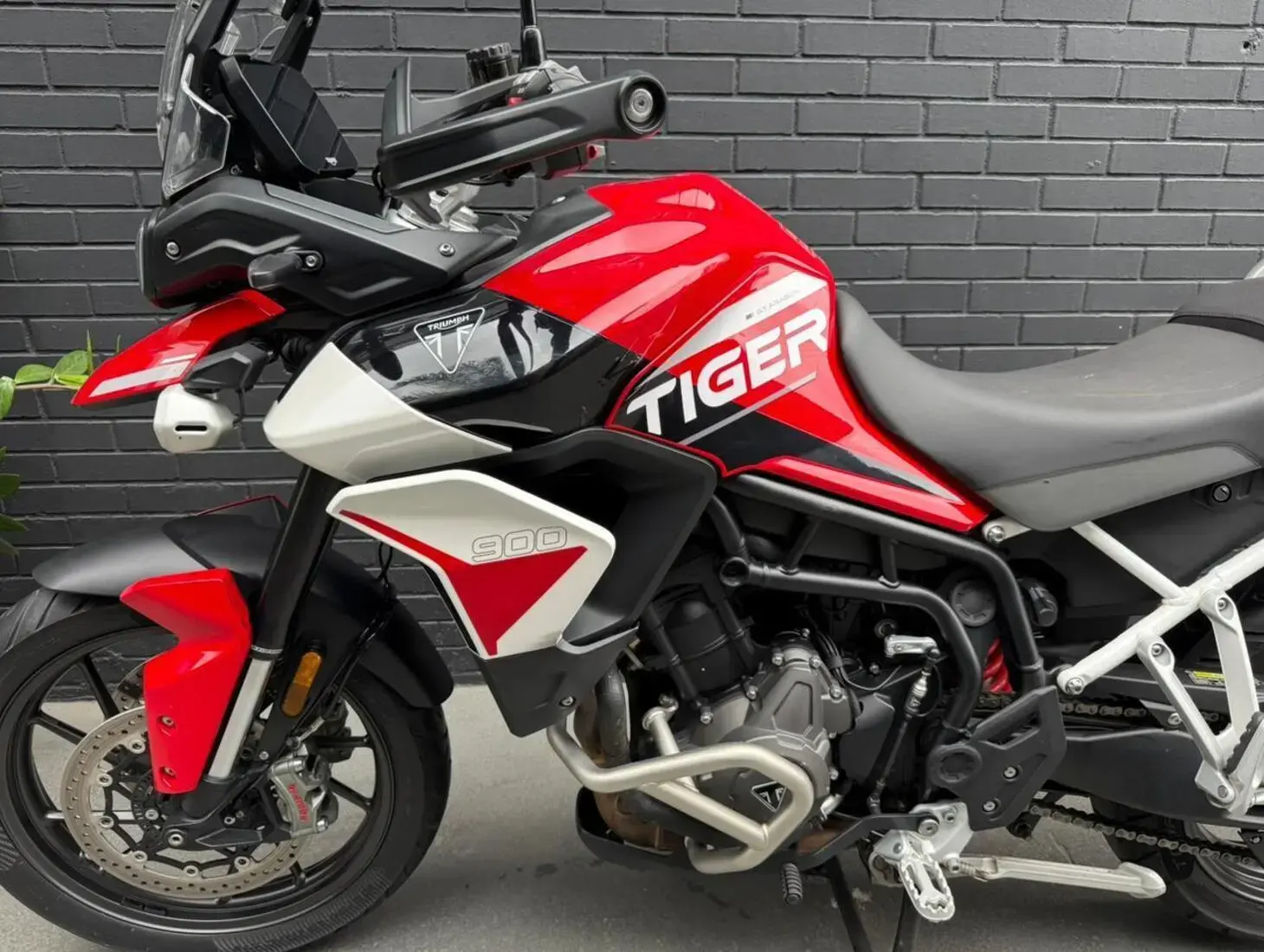 galeria Tiger 900