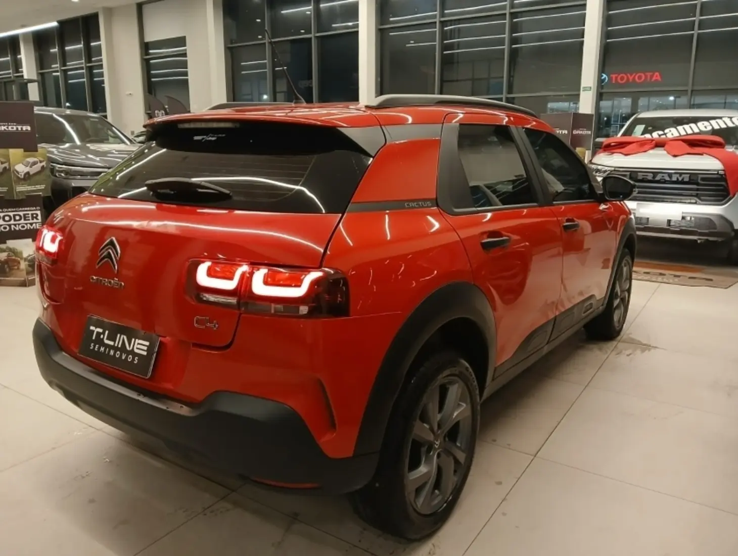 galeria C4 CACTUS