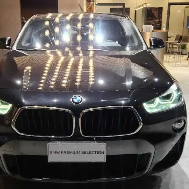 Bmw X2 2.0 sDrive20i GP (Aut)