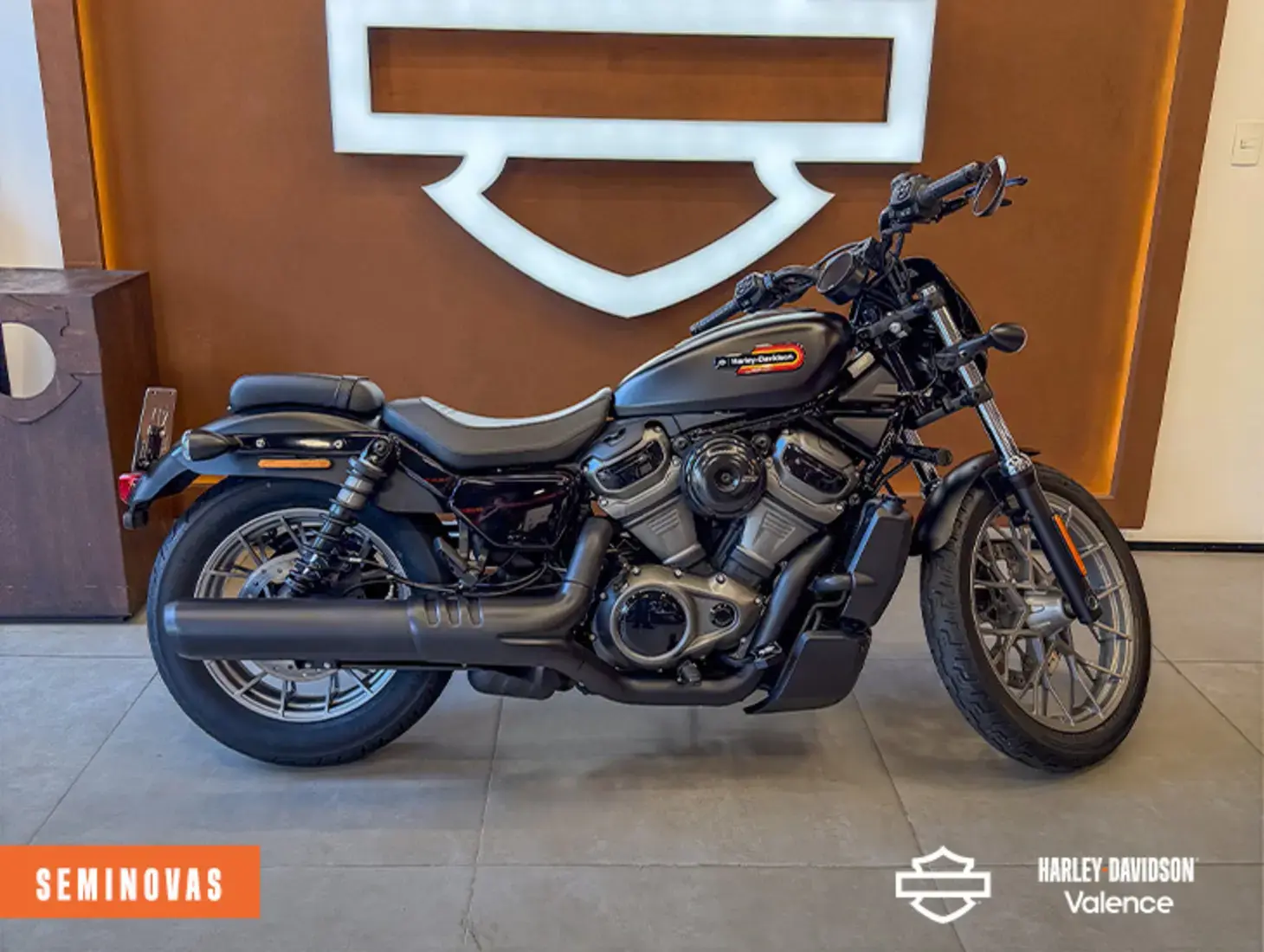 galeria NIGHTSTER SPECIAL