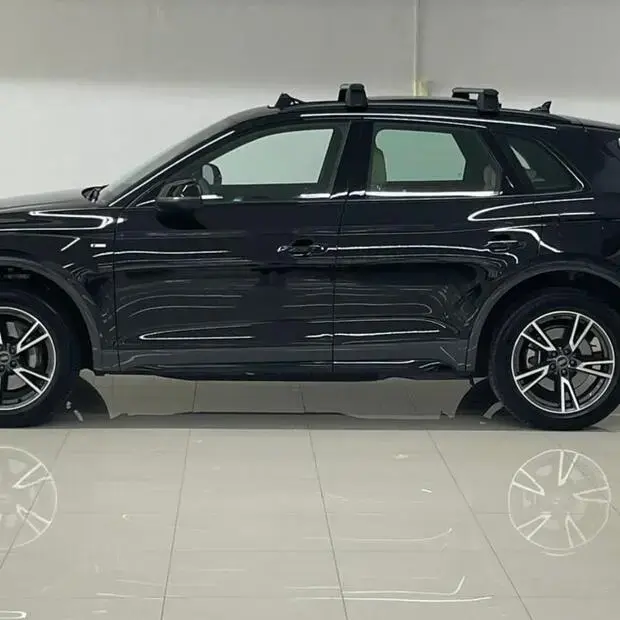 Audi Q5 Perf. Black 2.0 TFSIe S.Tr. Qt (Hib.)