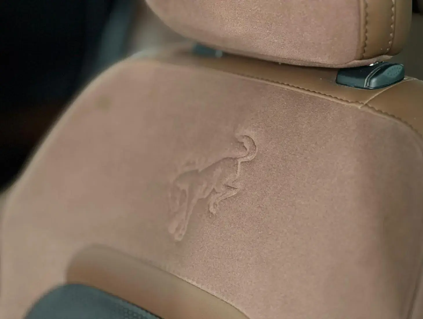 galeria Bronco Sport