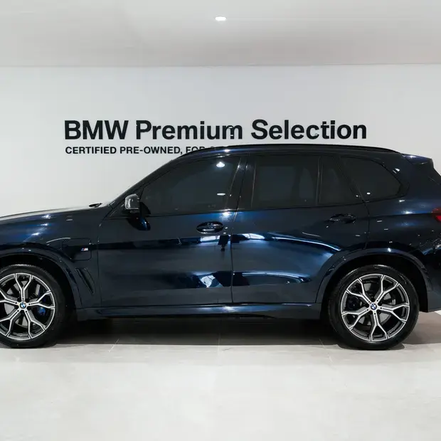 Bmw X5 xDrive45e M Sport 3.0 Híbrido (Aut)