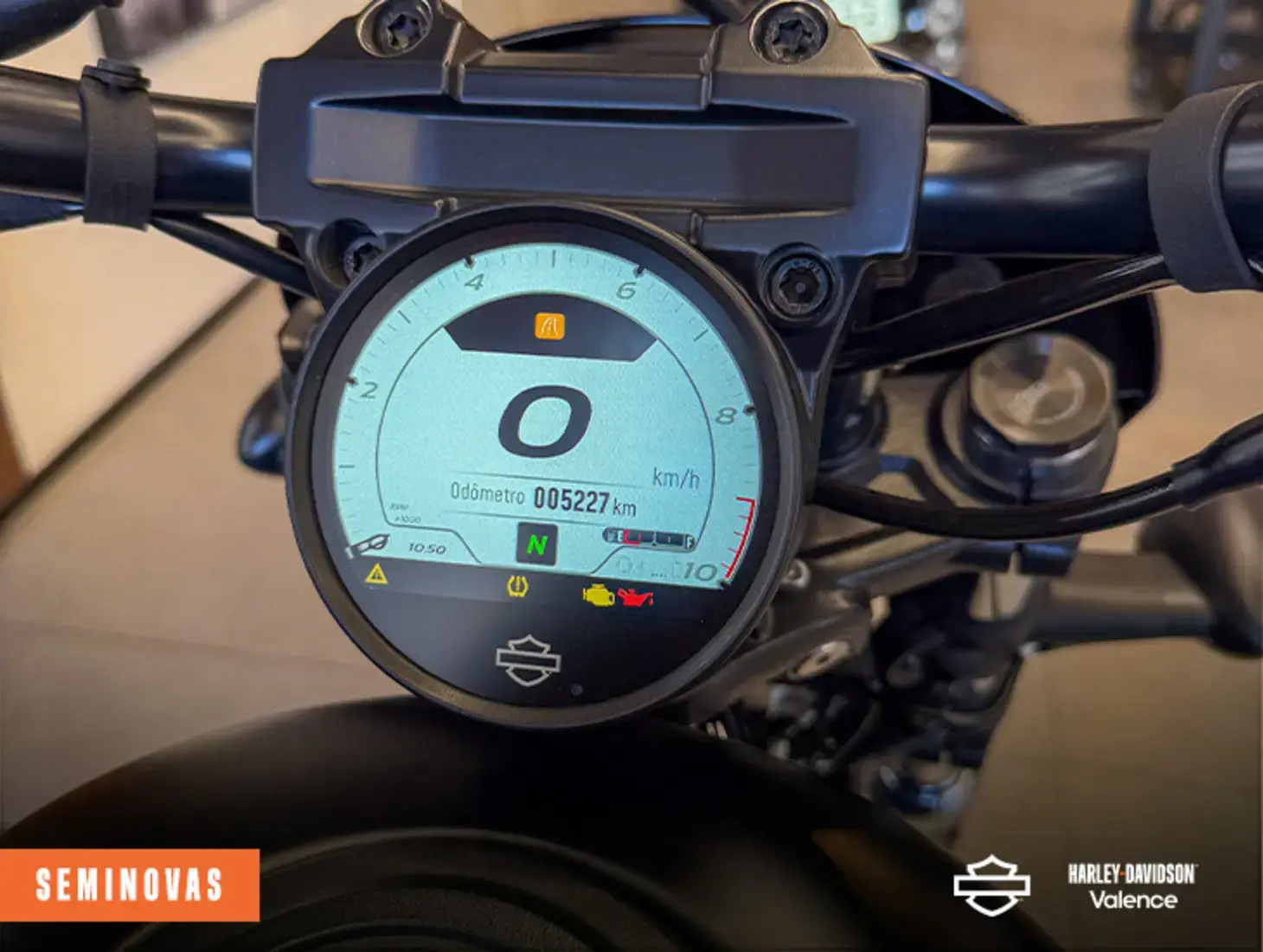 galeria NIGHTSTER SPECIAL