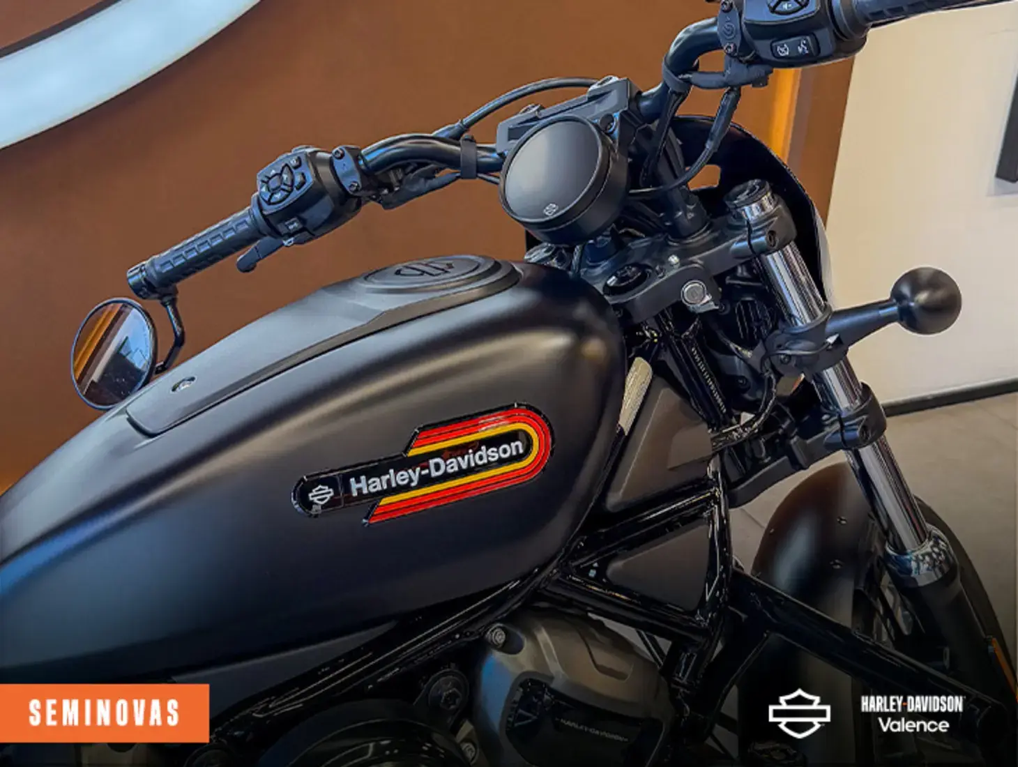 galeria NIGHTSTER SPECIAL