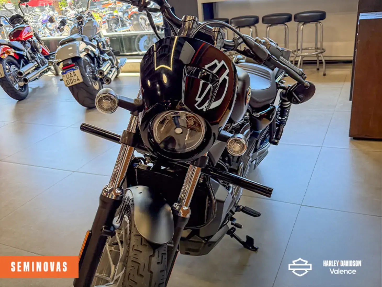 galeria NIGHTSTER SPECIAL