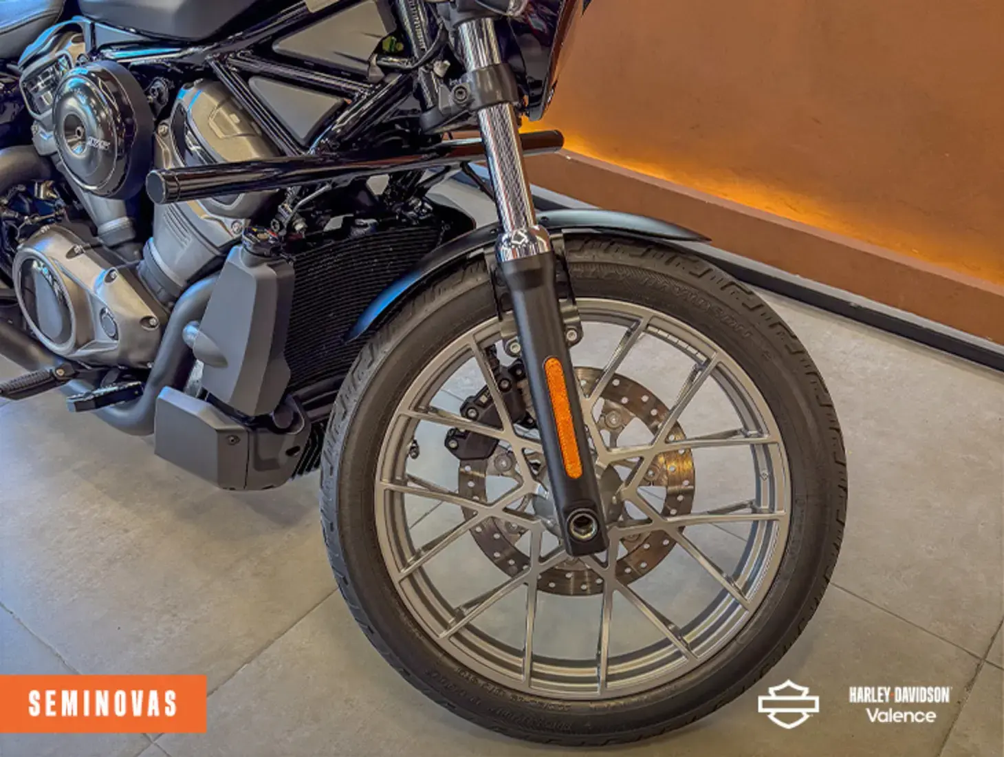 galeria NIGHTSTER SPECIAL