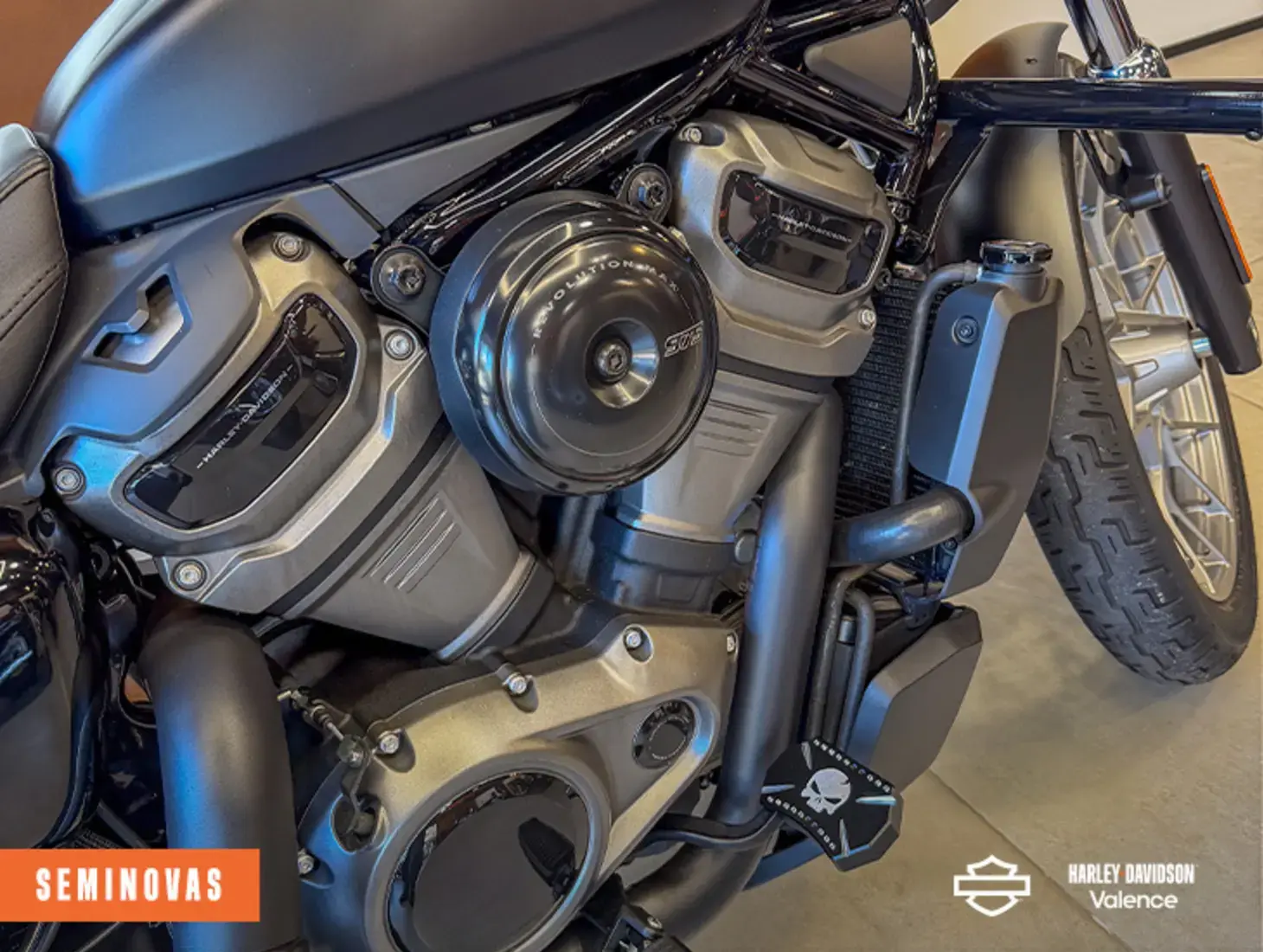 galeria NIGHTSTER SPECIAL