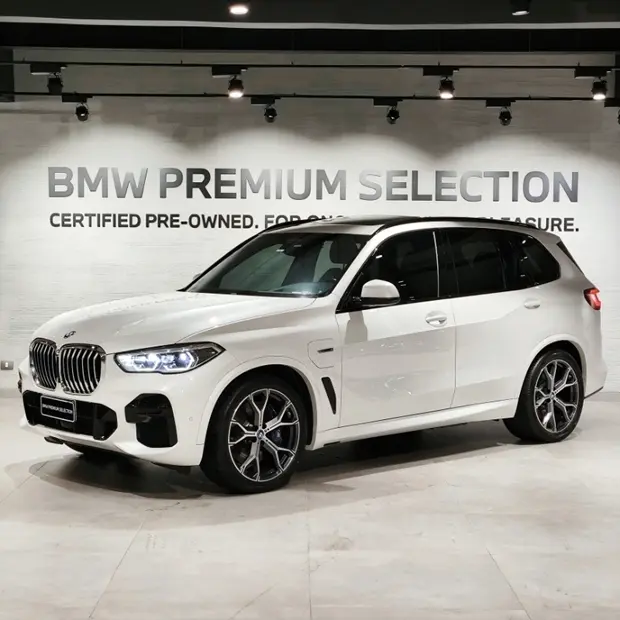 Bmw X5 xDrive45e M Sport 3.0 Turbo (Aut.) (Híb.)