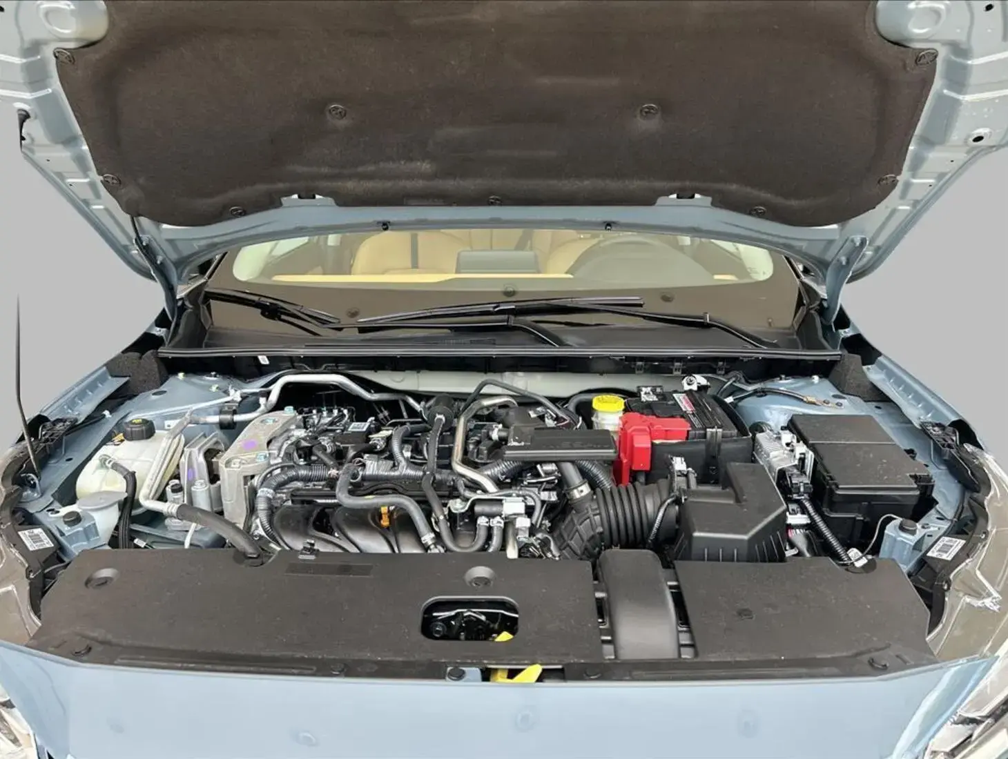 galeria SENTRA