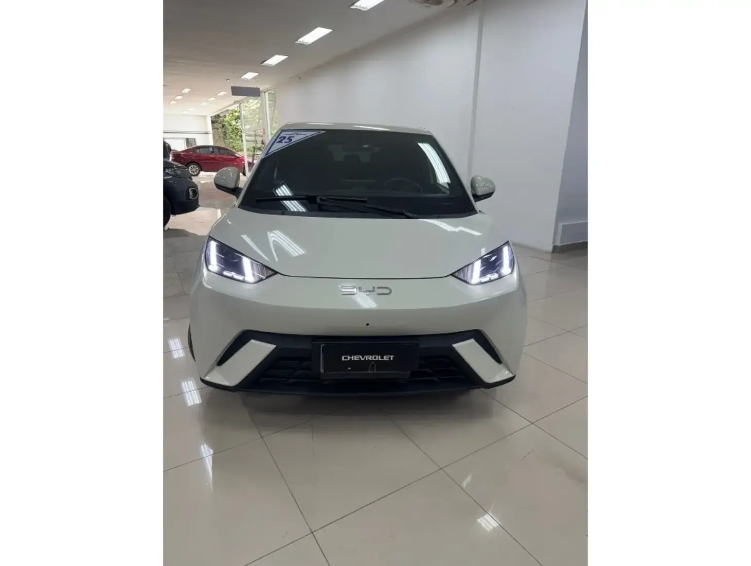 galeria DOLPHIN MINI