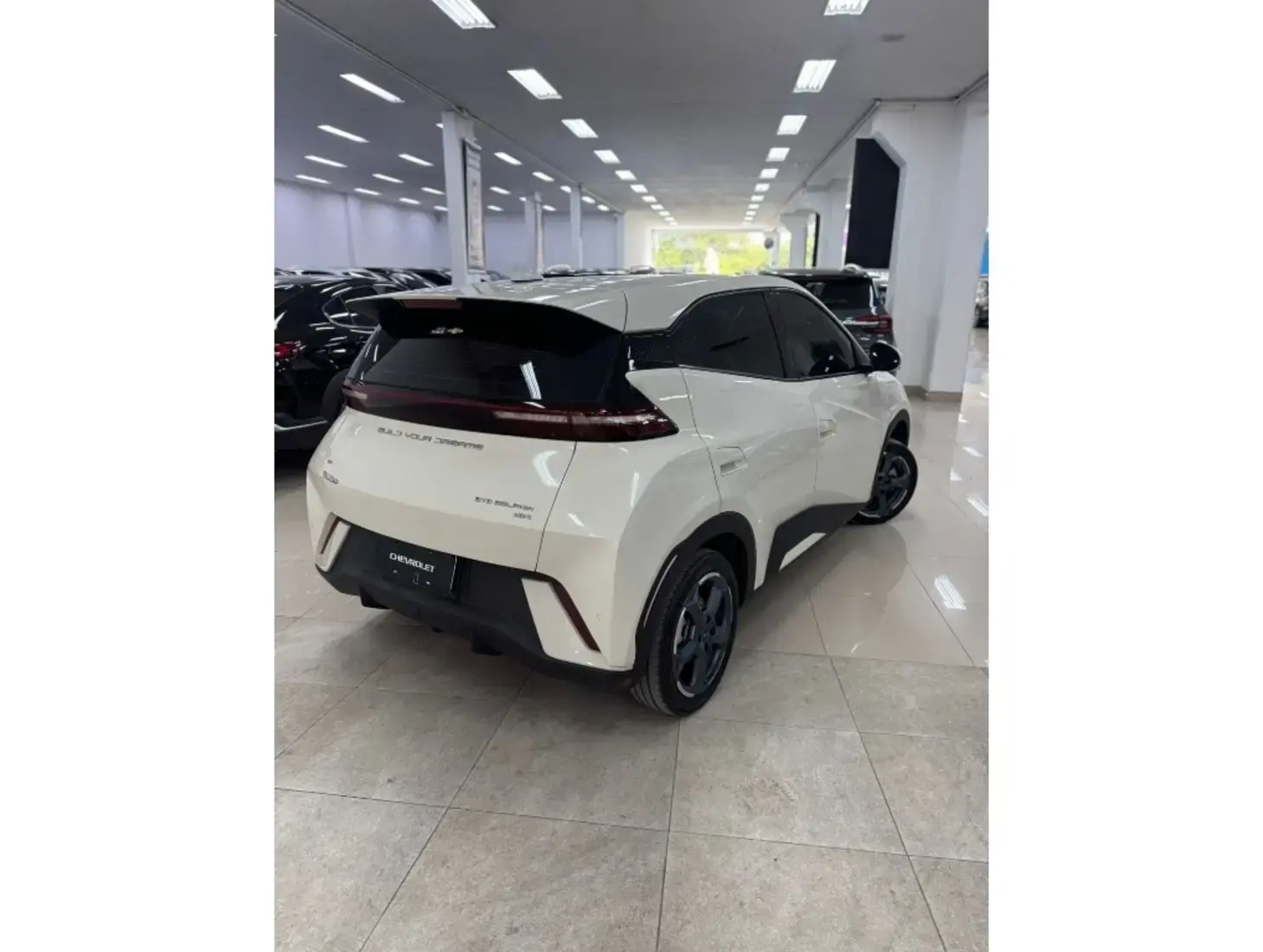 galeria DOLPHIN MINI