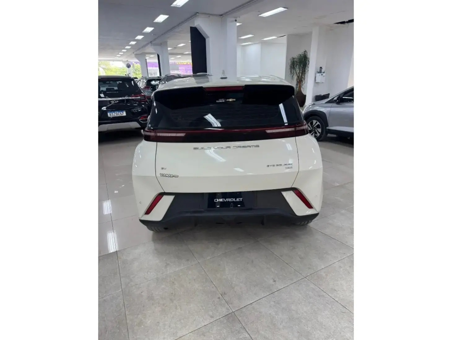 galeria DOLPHIN MINI