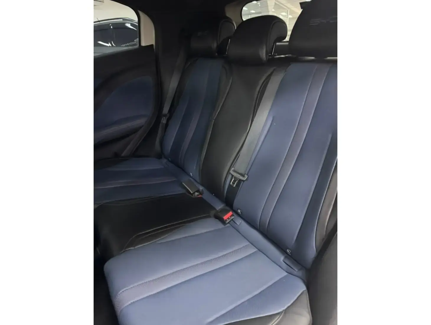 galeria DOLPHIN MINI