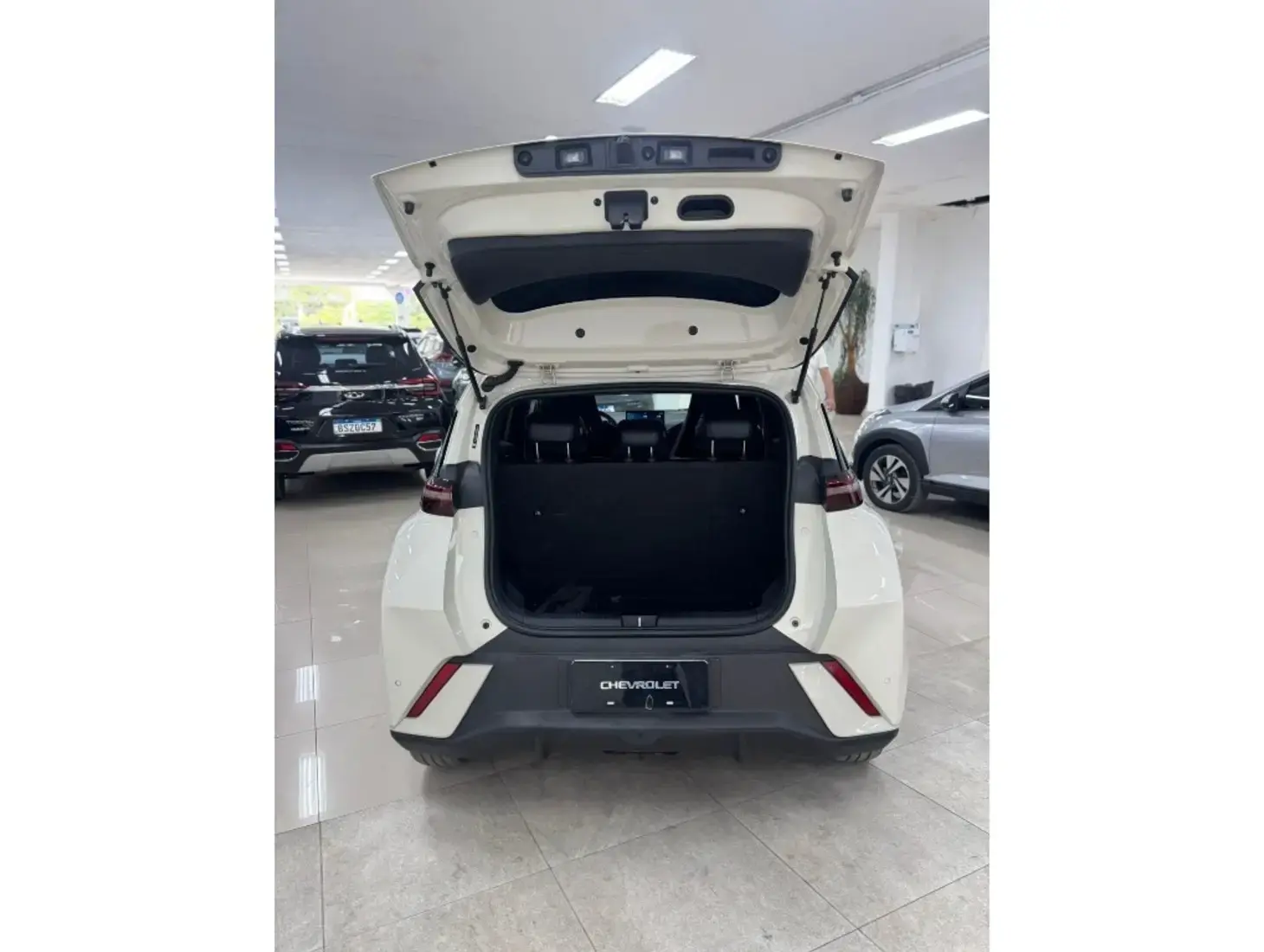 galeria DOLPHIN MINI