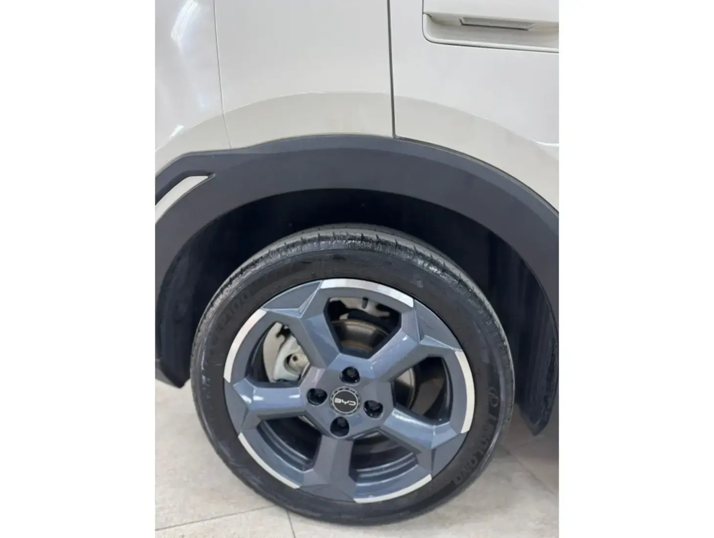 galeria DOLPHIN MINI